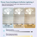 Ventilador De Teto Wind Light Silent Controle Remoto Lâmpada Led 60W Silenciosa 6 Folhas