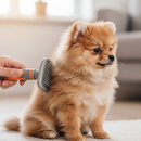 Cor Caque/Branco Escova A Vapor Para Gatos Cães 3 Em 1 Escovas Elétricas De Pêlos Pentes De Massagem
